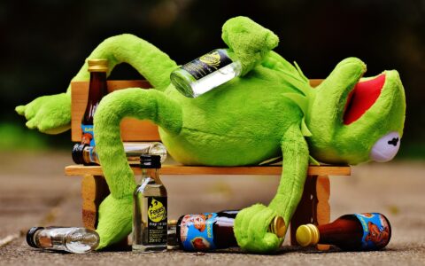 kermit-g523384375_1920